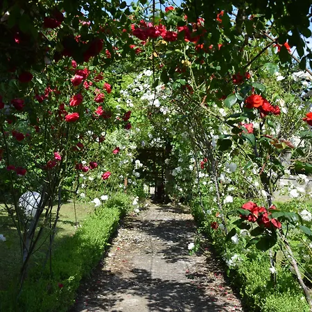 Bed and Breakfast L'intemporelle 4*