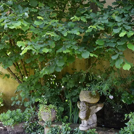 Bed and breakfast L'intemporelle