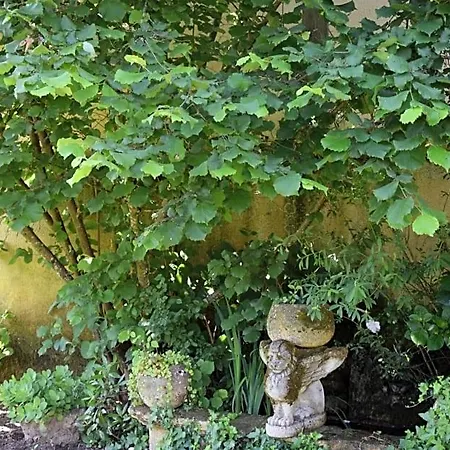 Bed & Breakfast L'intemporelle Le Buisson-de-Cadouin