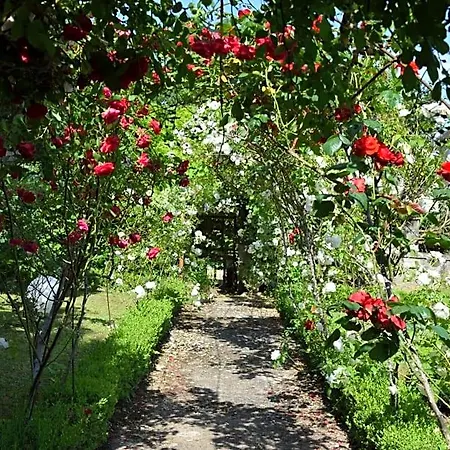 L'intemporelle Bed & Breakfast