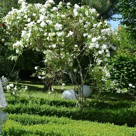 Panzió L'intemporelle