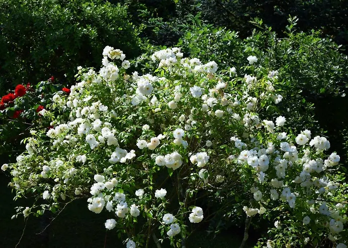 L'intemporelle Bed & Breakfast 4*